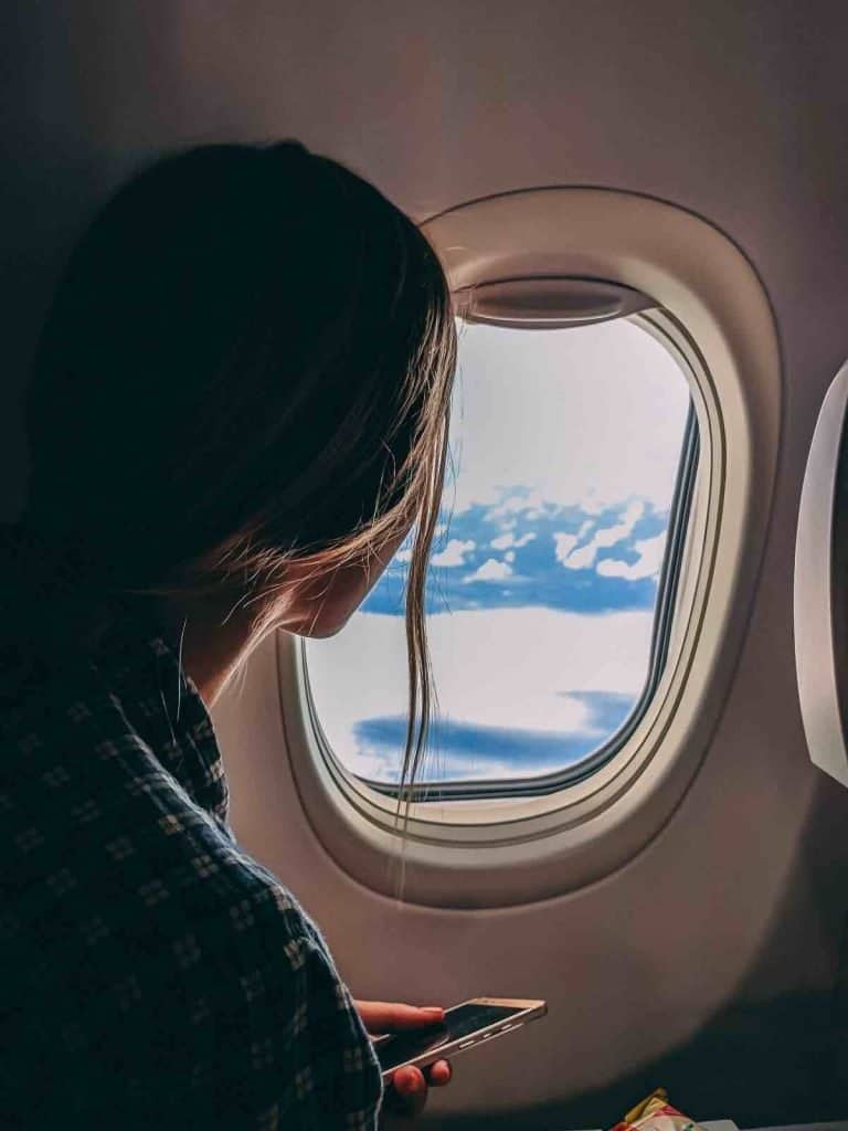 How to manage a long flight with a dog in cabin