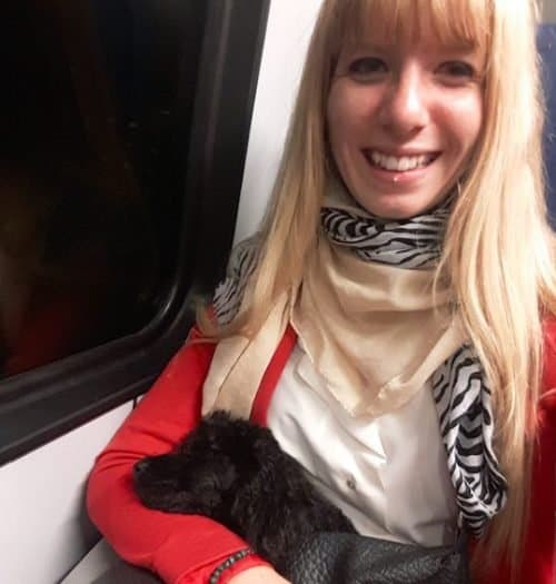 How to travel with a dog without a car dogpackr