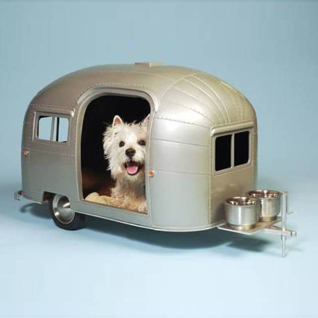 best rv for traveling with pets