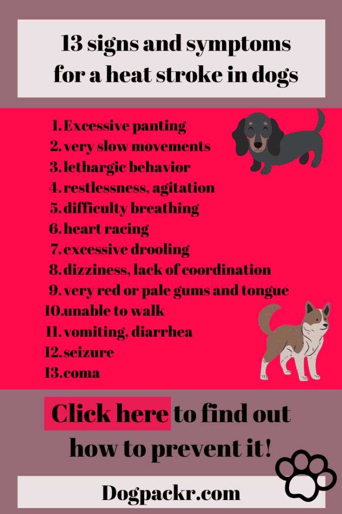 how long does heat stroke last for dogs