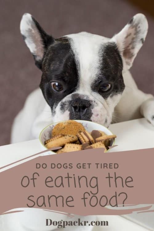 Do Dogs Get Tired Of The Same Food? - Dogpackr