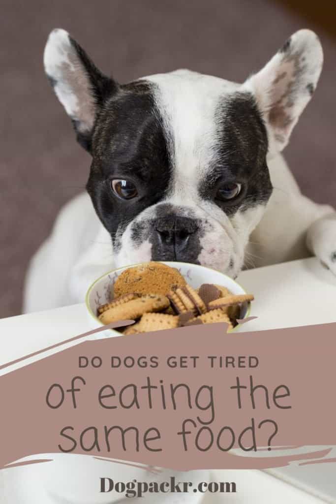 do dogs get bored eating the same food