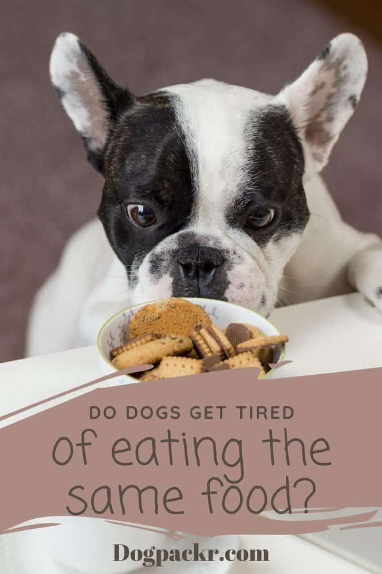 Do dogs get tired of the same food? dogpackr