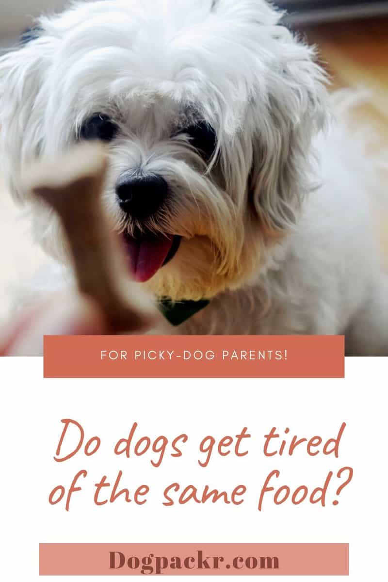 Do dogs get tired of the same food? - dogpackr