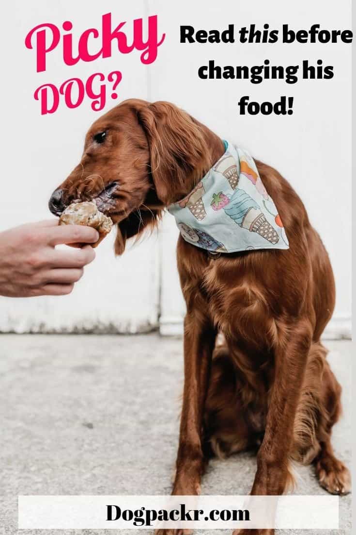 Do dogs get tired of the same food? dogpackr