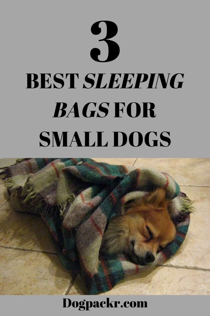 3 best sleeping bags for small dogs dogpackr