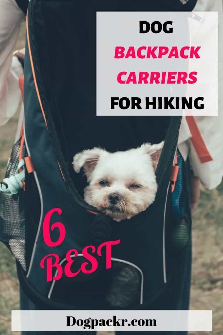 6 best dog backpack carriers for hiking and how to choose one dogpackr