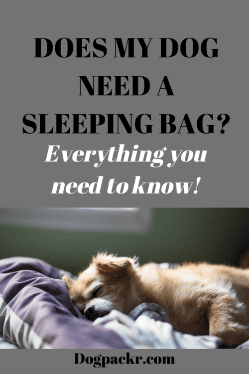 Does my dog need a sleeping bag? dogpackr
