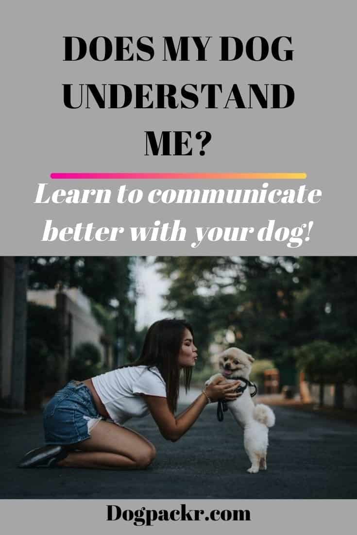 Does my dog understand me? dogpackr
