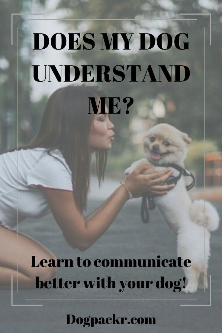 Does my dog understand me? dogpackr