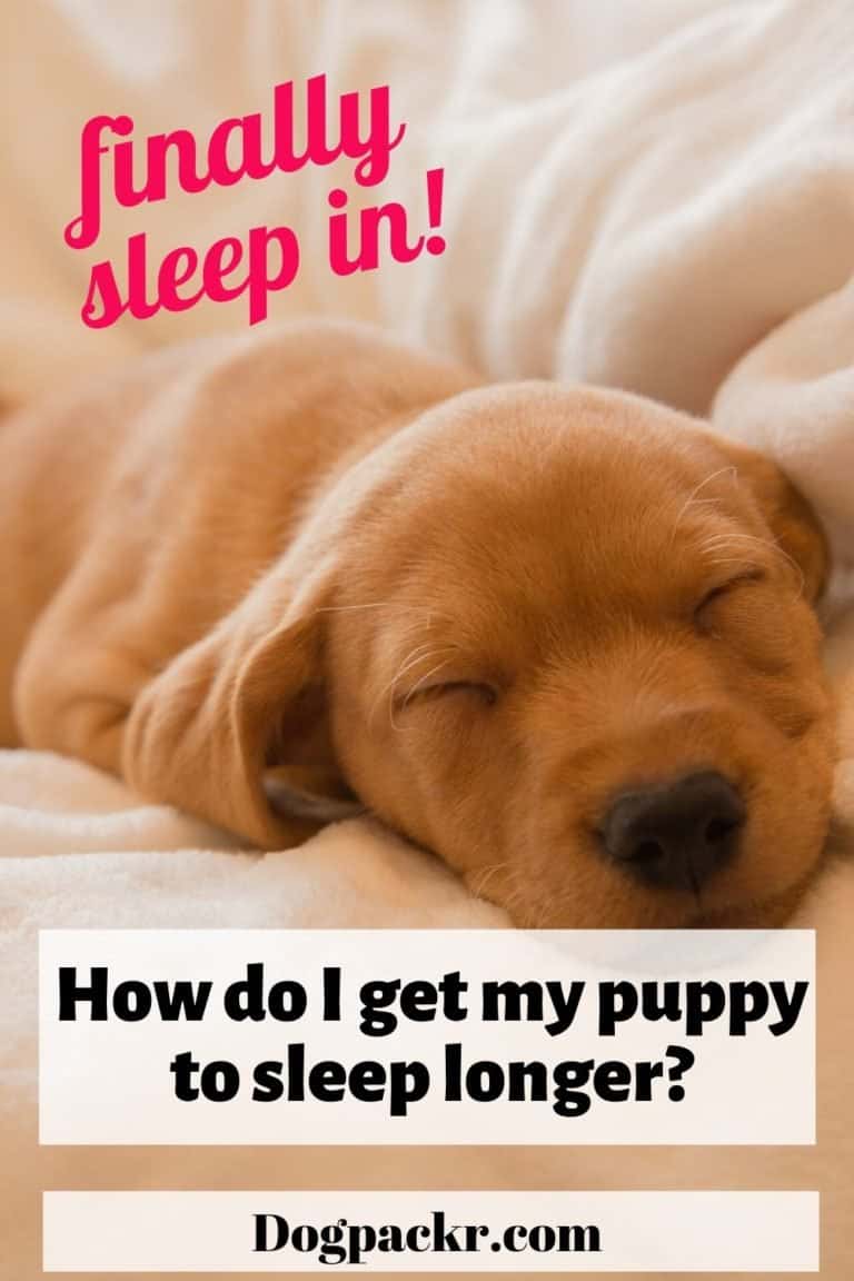 How do I get my puppy to sleep longer? dogpackr