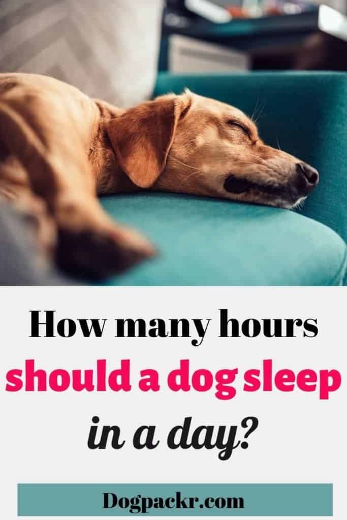 how many hours a day do dogs normally sleep