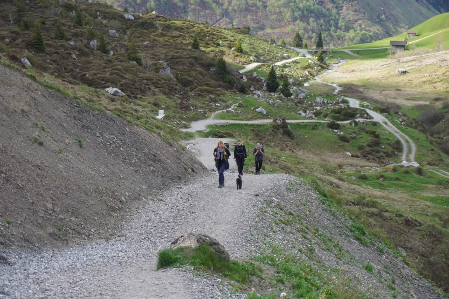 10 tips for hiking with a dog off leash dogpackr