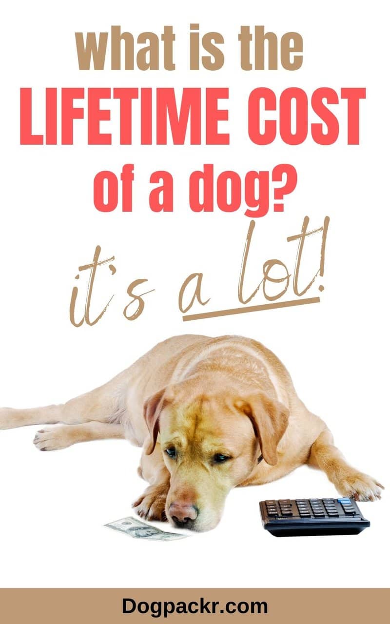 What is the lifetime cost of a dog? Probably more than you think dogpackr