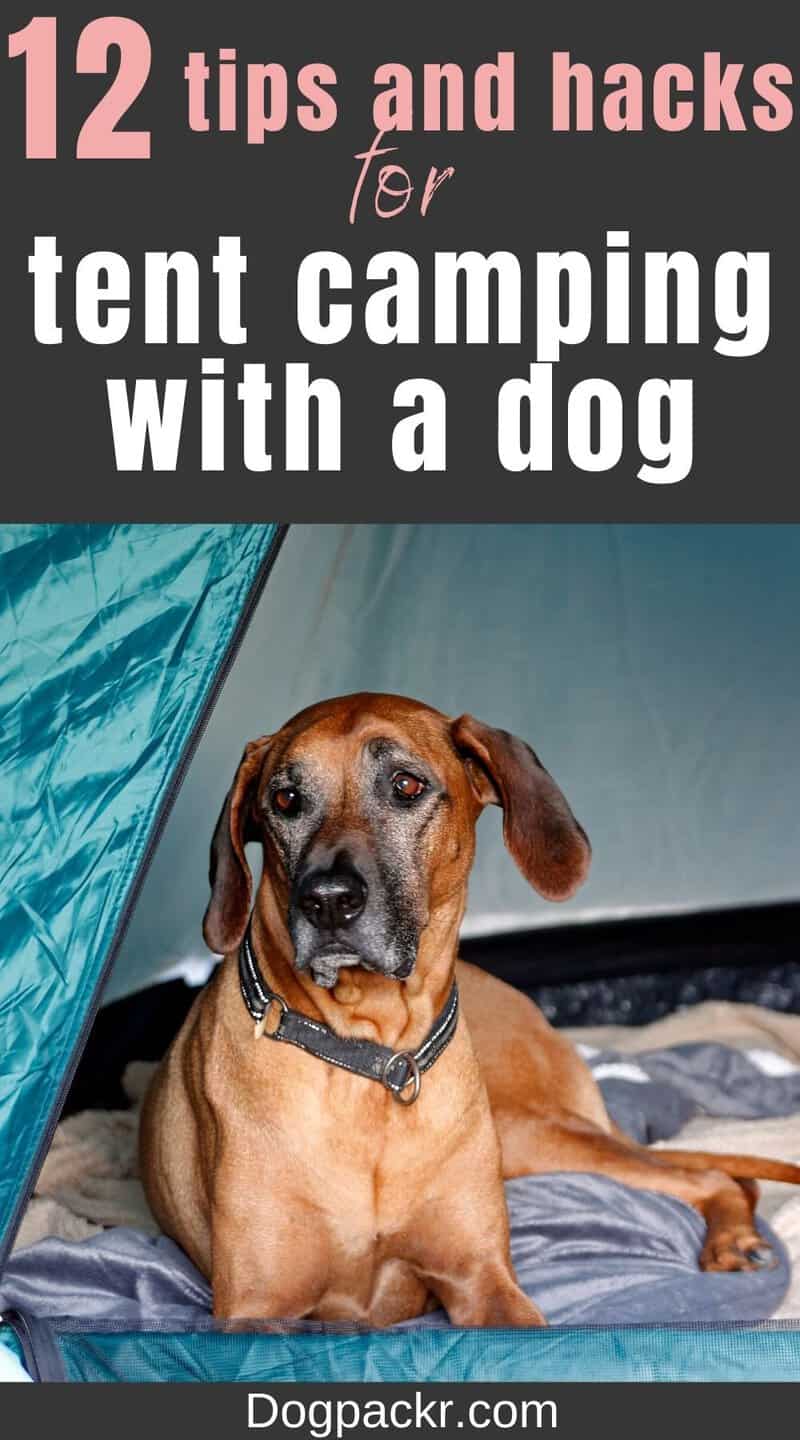 12 tips and hacks you need when tent camping with dogs - dogpackr