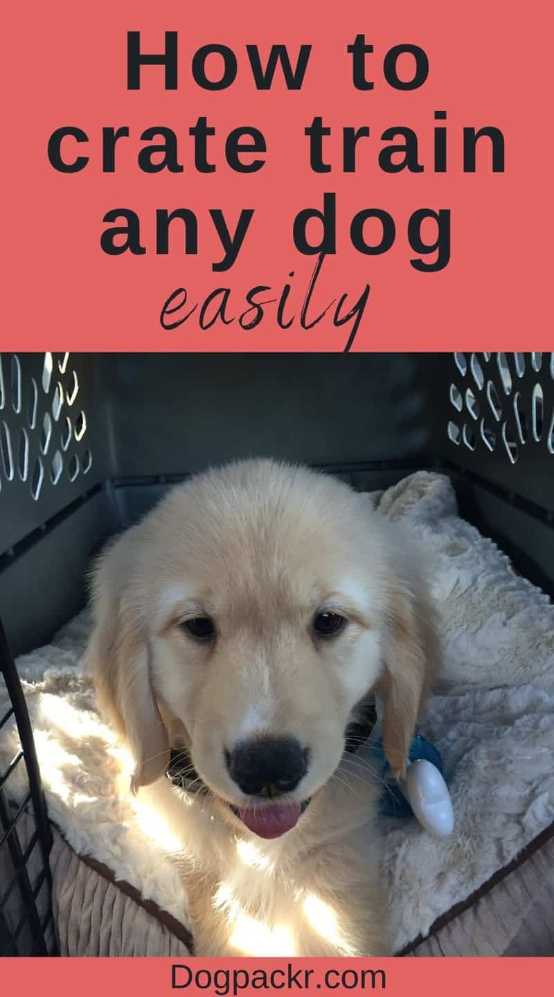 How to crate train a dog easily in 13 steps dogpackr