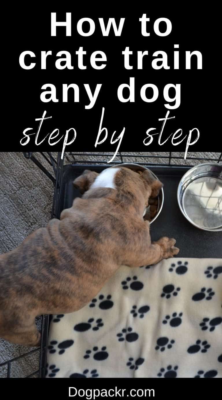 How to crate train a dog easily in 13 steps - dogpackr