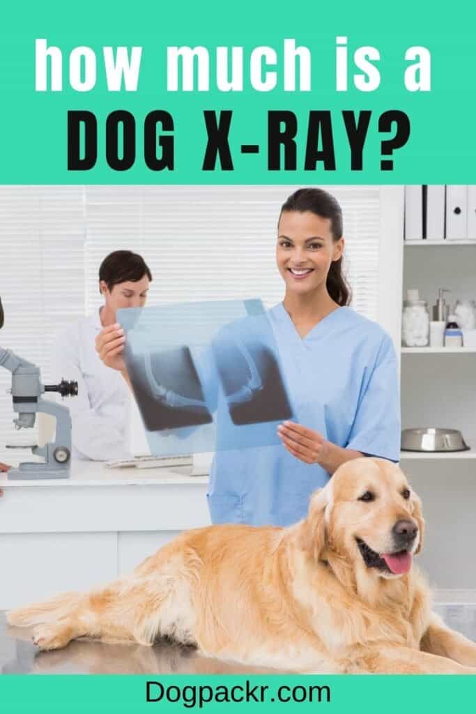 how much does dog xrays cost