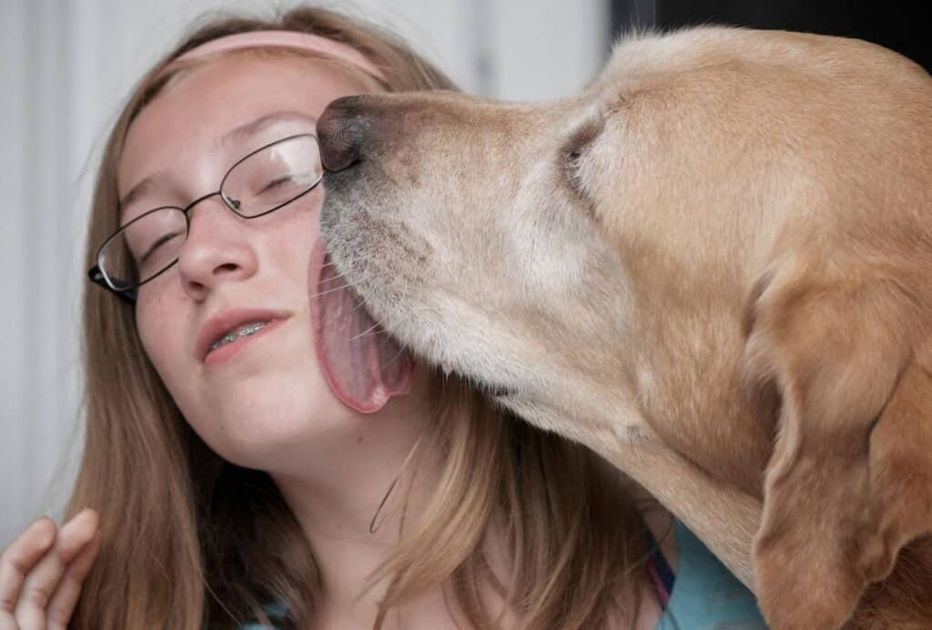 what does it mean if dog licks your face