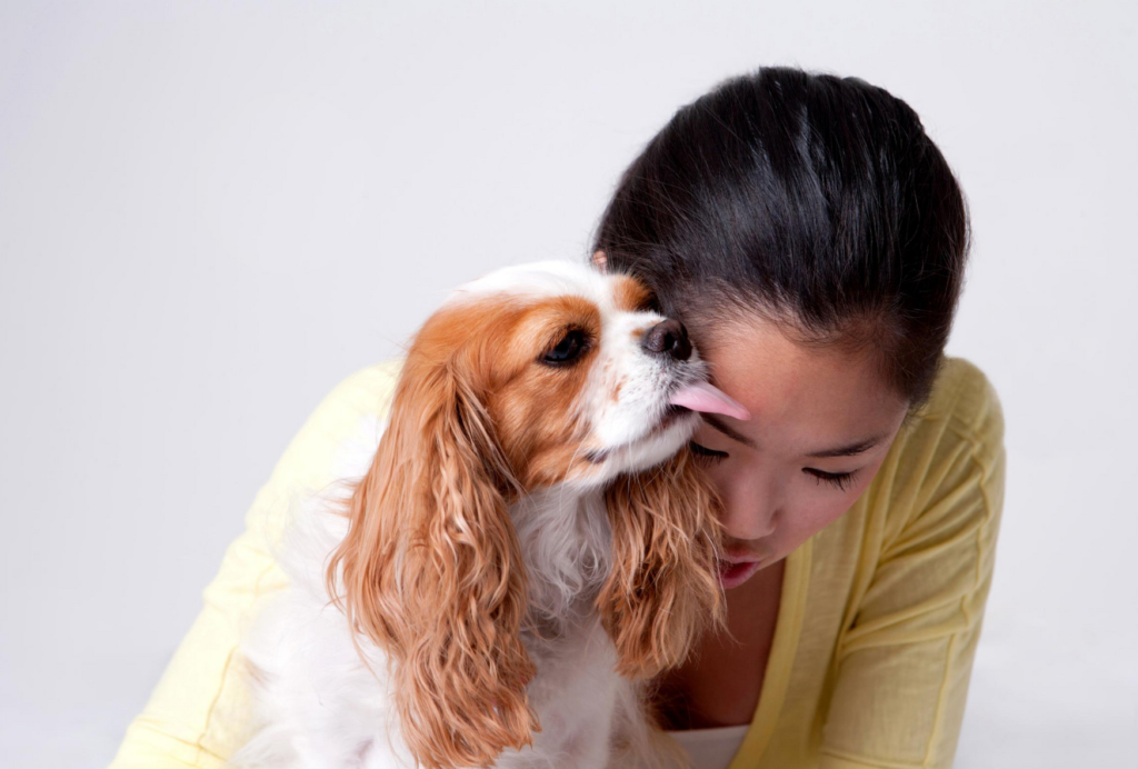 why do dogs kiss