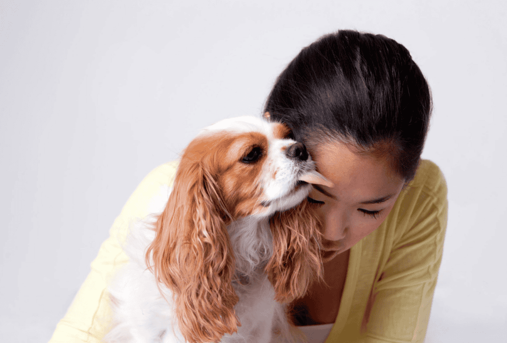 Why do dogs lick you at night