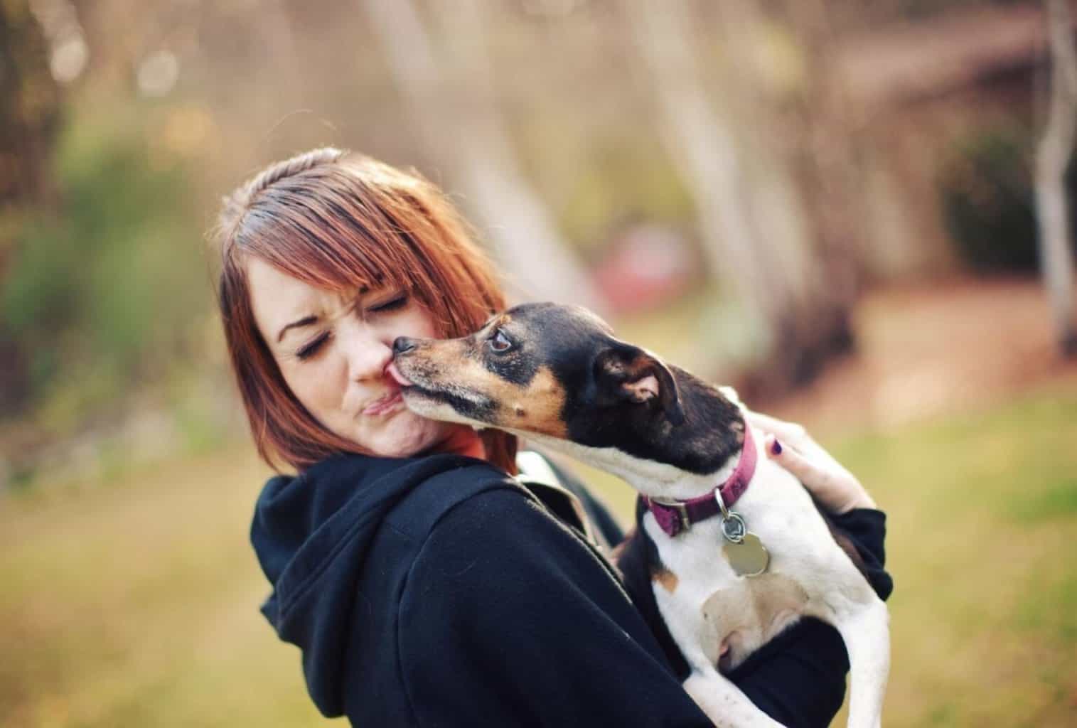 Why Do Dogs Lick You? All Reasons Explained dogpackr