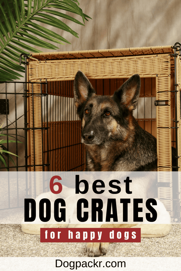6 Best Crates for Dogs to Sleep In dogpackr