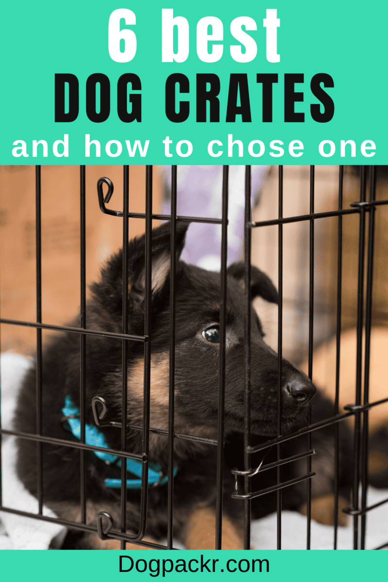 6 Best Crates for Dogs to Sleep In dogpackr