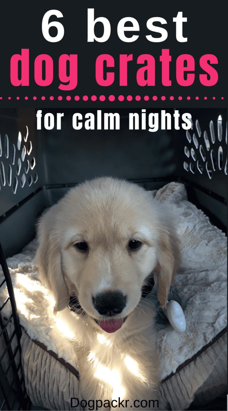 6 Best Crates for Dogs to Sleep In dogpackr