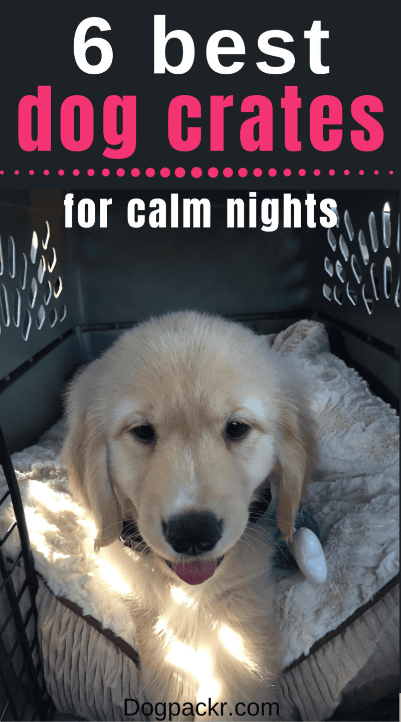 6 Best Crates for Dogs to Sleep In dogpackr