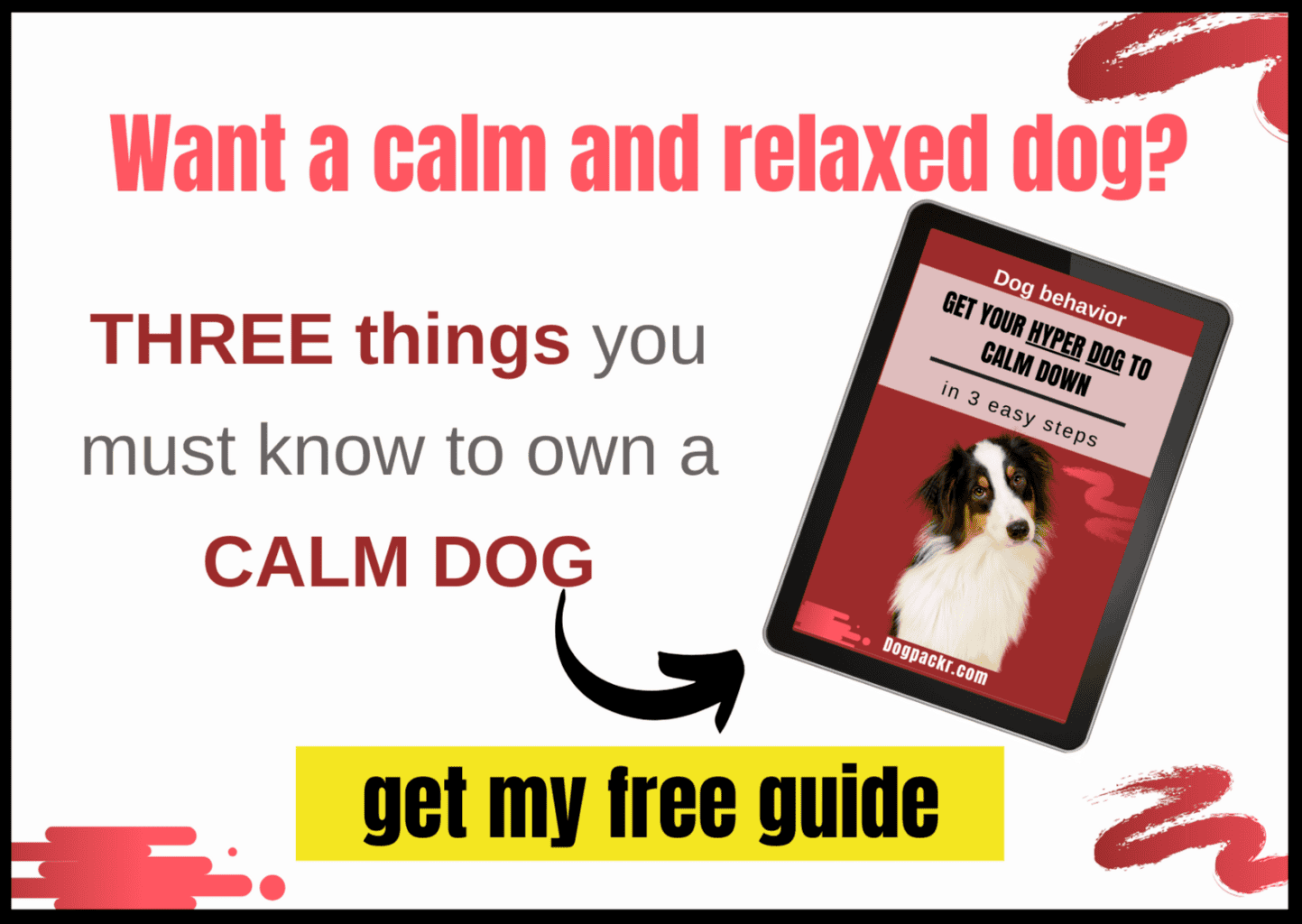 11 Tricks to Get a Stubborn Dog to Take a Pill dogpackr