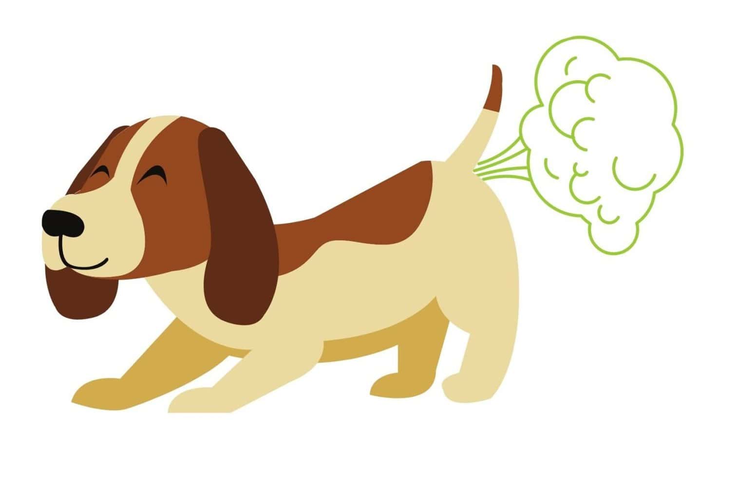 My Dog’s Stomach Is Gurgling Very Loudly dogpackr