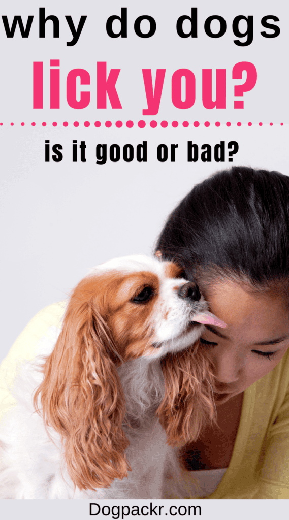 there are plenty of reasons why dogs might want to lick you