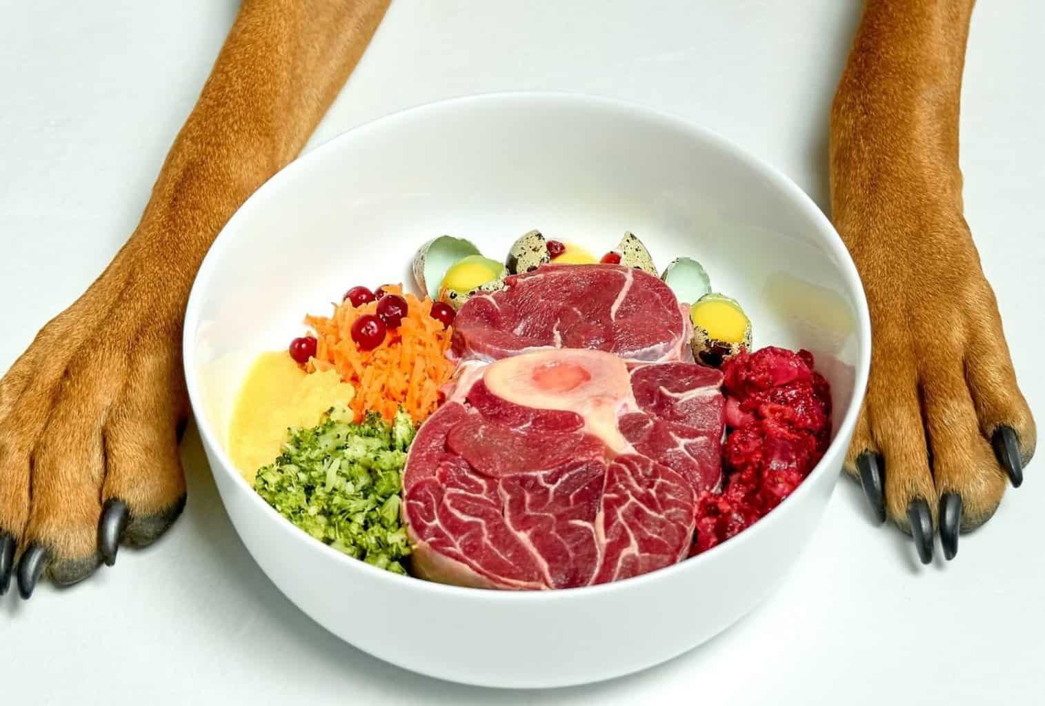 Best Dog Food Delivery Service For Fresh Cooked Food dogpackr