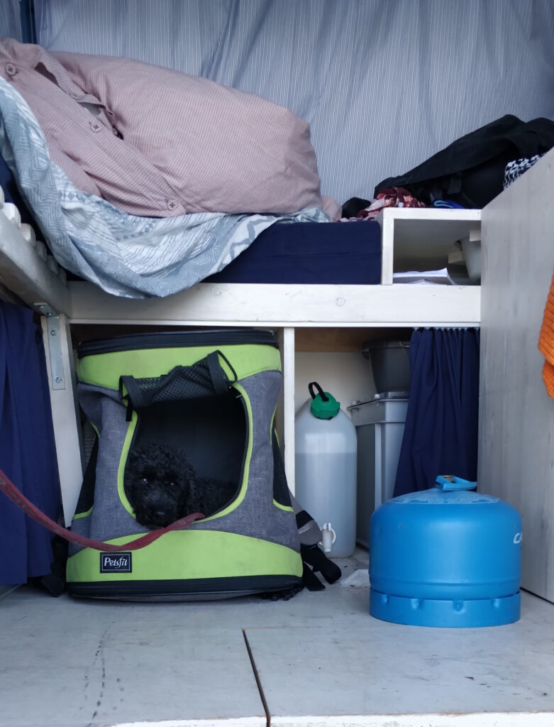 We went on a camping trip with a camper van this summer. Baloo loved his cozy spot in his dog backpack