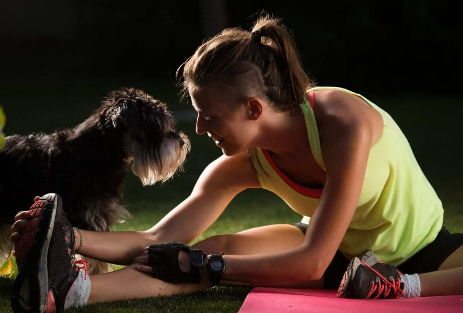 How to Get a Scared Dog to Trust You 12 Tricks and Tips dogpackr