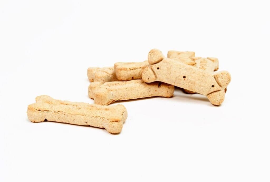 Toss some treats around to help your dog build positive associations with being close to you