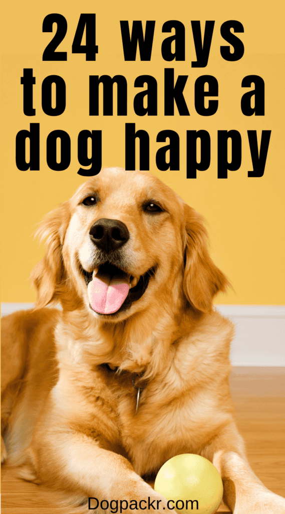 24 Things to Make a Dog Happy dogpackr