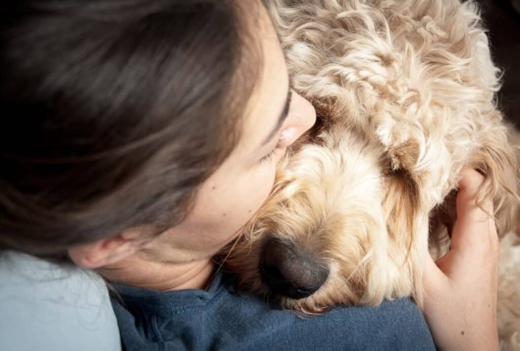 If your dog loves cuddling, snuggling up on the couch is a great way to make him happy