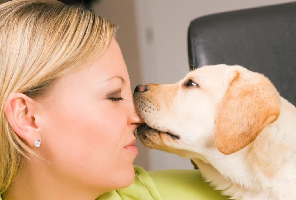 Most dogs will just jump and nip at you to get your attention