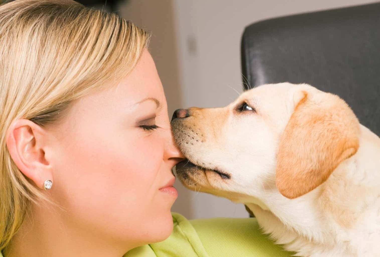 My Dog Jumps and Bites When Excited What Can I Do? dogpackr