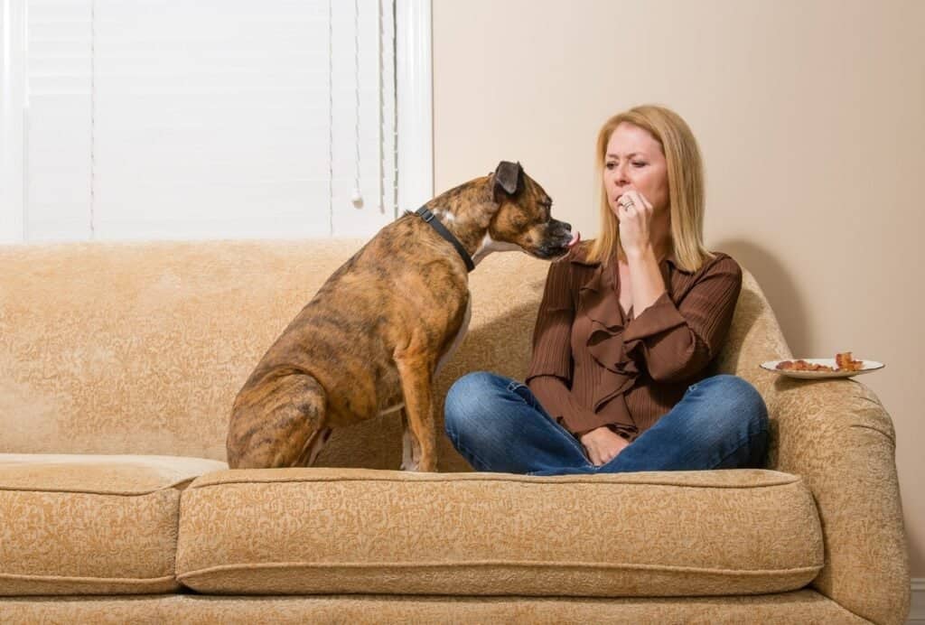 You probably know those begging eyes when you eat something. Make use of your dog's jealousy of your food and pretend to eat the pill yourself