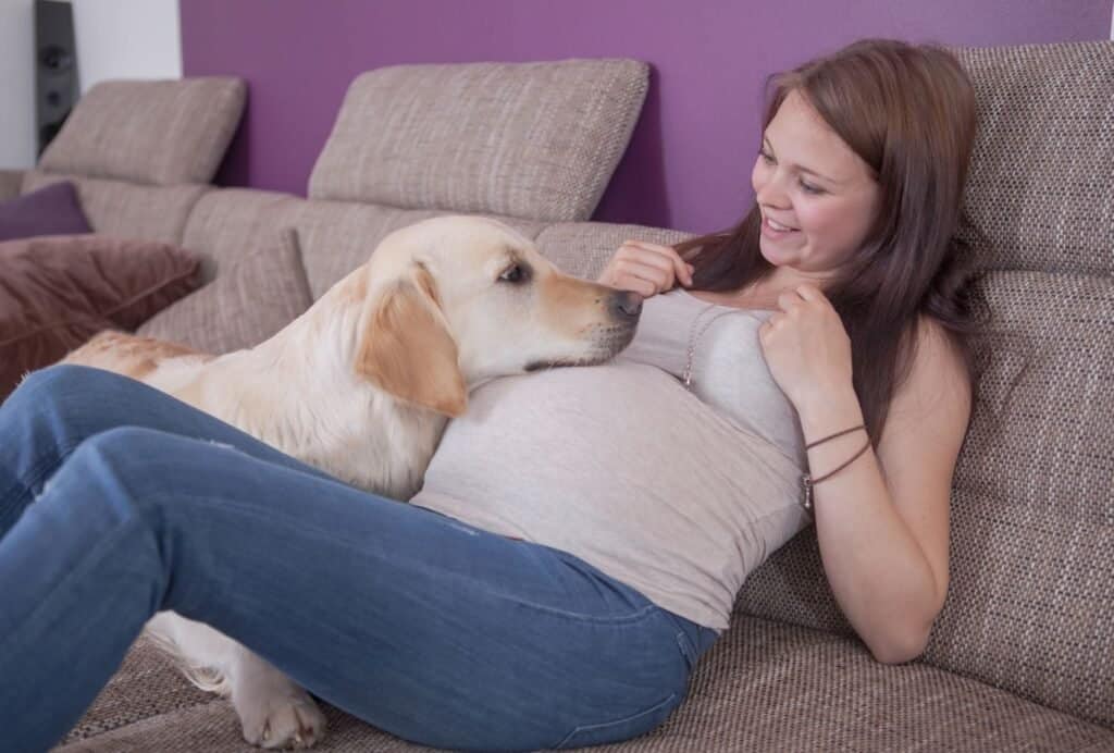 Dogs sense a change in your hormones when you're pregnant. This might make him more protective and clingy