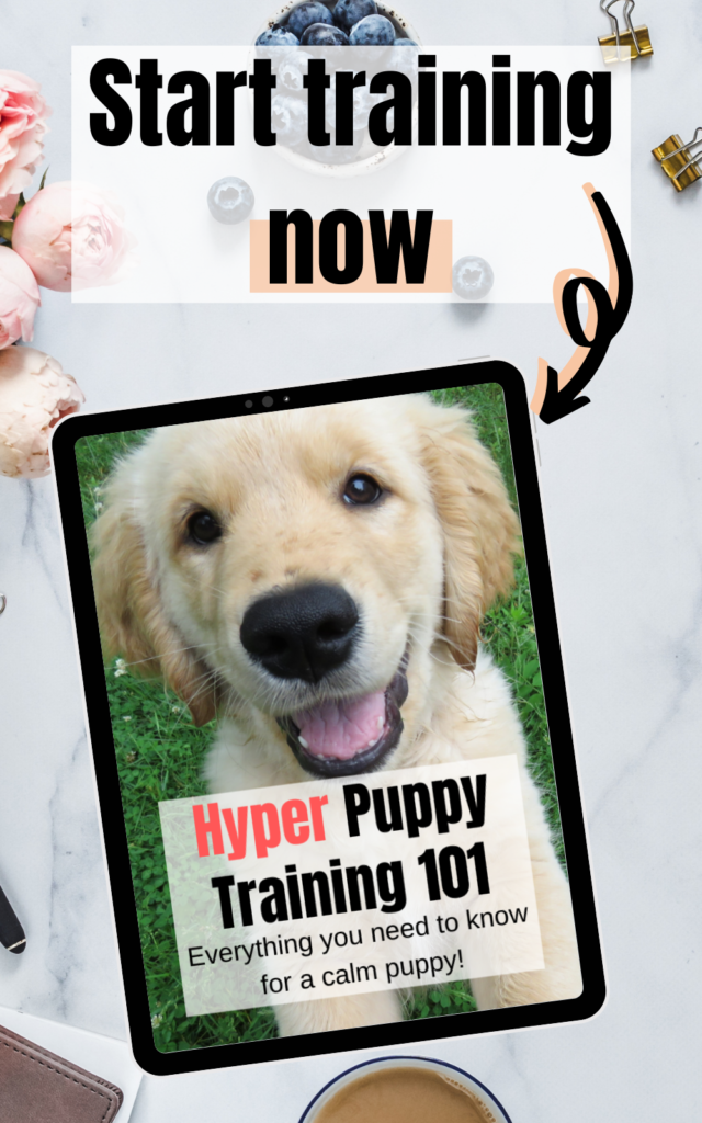 Hyper puppy training 101 ebook landing page