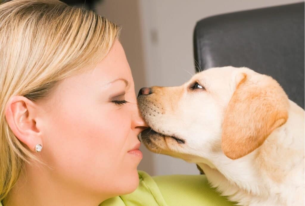 how to stop a puppy from biting when excited