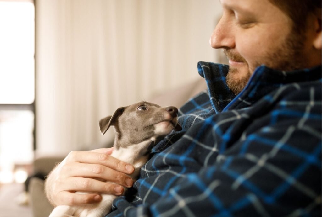 11 ways to bond with your dog while training an relaxing with your pet