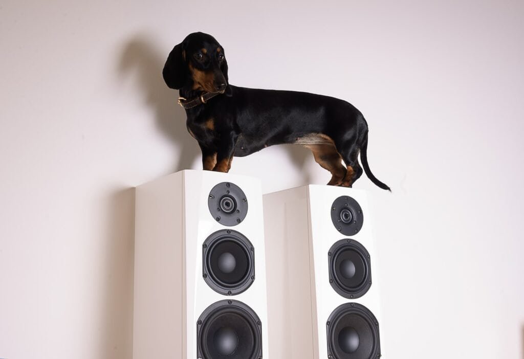 dogs can hear really well - you don't need to turn up  the volume
