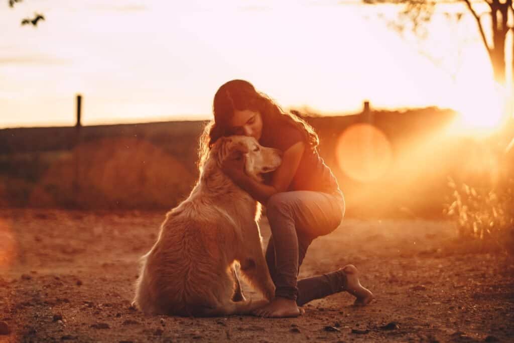 why are dog hugs different from human hugs?