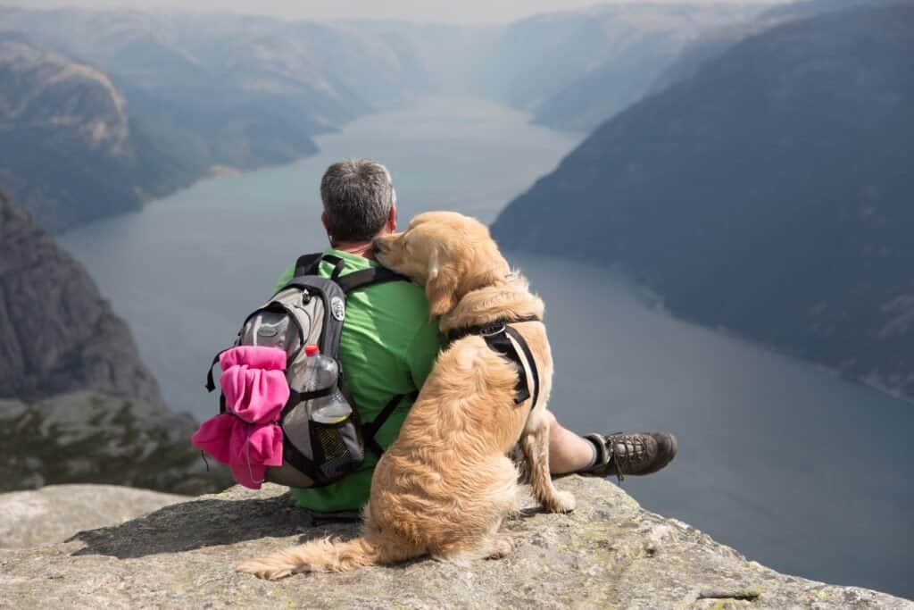 putting his head on you is one way dogs show their affection - it's their version of a hug.