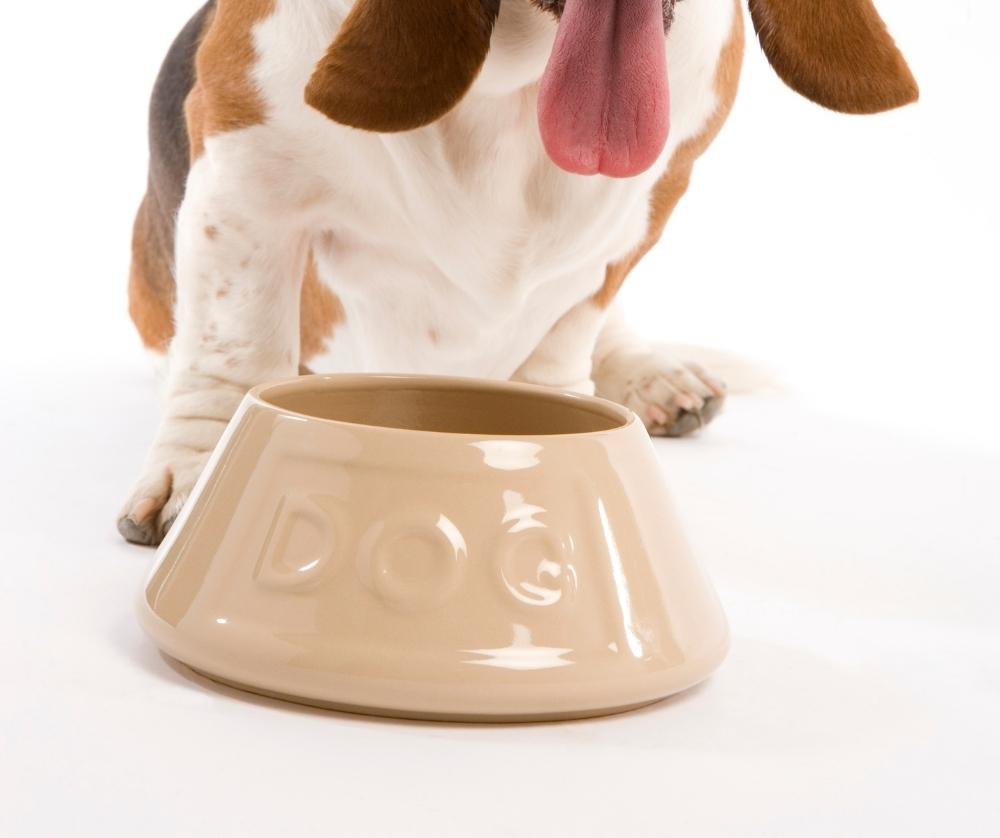 heavy dog water bowl.